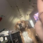 Ashton Lemaster - Facebook