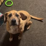 Ashton Lemaster - @gladiator42069 - Instagram