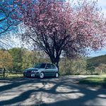 Ashton Lind - @ashton_lind_079 - Instagram