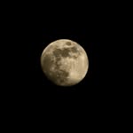 Ashton Park - @ashton.com1215 - Instagram