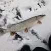 Ashton Parkes - @ashton.parkes1 - TikTok