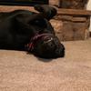 Ashton_Sylvester - @ashton_sylvester - TikTok