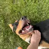 Ashton Thomas - @ashton.thomas2 - TikTok