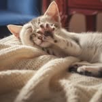 Ashu - @_ashutosh_ojha_ - Instagram