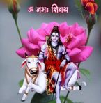 Ashutosh Ojha - Facebook