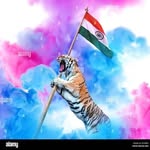 Ashutosh Rathore - @mr_rathour_13 - Instagram