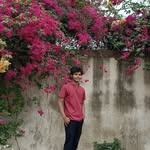Ashutosh Kumar - @_ashutosh_roy_8033 - Instagram