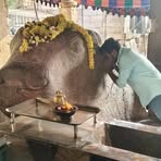 Ashwanth Reddy - Facebook