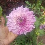 Ashwin Murali - @ashwin.murali.3726 - Instagram
