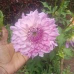 Ashwin Murali - Facebook