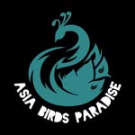 Asia birds paradis|بهشت پرندگان آسیا - @asia.birds - Instagram