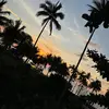Asiancheeks - @asiancheeks_ - TikTok