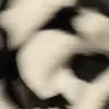 asiafarmer6 - @create.a.business - TikTok