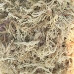 Sea moss from Southeast Asia - @southeast_asian_seamoss - Instagram