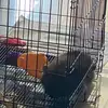 asiaprattt - @asiaprat6 - TikTok
