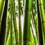Asia Quick 4 - @asiaquick4 - Instagram