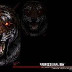 Asif Amin - Facebook