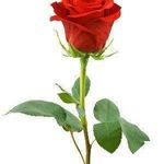 Asif Azam - @asifazam6176 - Instagram