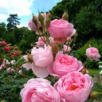 Asif Haq - Facebook