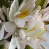 asifhasan6354 - @asifhasan6354 - TikTok
