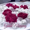 asif ilyas - @asif.ilyas997 - TikTok