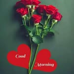 Asif Mohammad - @asifmohammad977 - Instagram