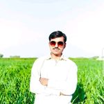 Asim Ashraf - @asim.ashraf.9440 - Instagram