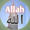 Asim - @asimhamid1200 - TikTok