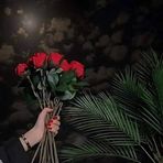 Asiya Malik - Facebook