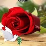 Aslı Üçer - @asliucer40 - Instagram