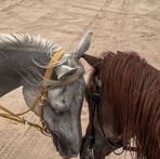 Asma Abdulla - Facebook