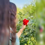 Asma Ahmadi - @asma.ahmadi.5477 - Instagram