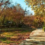 Asma Ahmadi - Facebook
