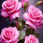 Asma Ayoub Twahir - @asmaayoubtwahir - Instagram