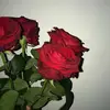 Asmaa - @asmaayoub_ - TikTok