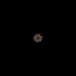 Asma Azam - @asma._.azam - Instagram