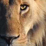 Asma Azam - @asma.azam.90281 - Instagram