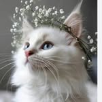 asma aziz - @asmaaziz296 - Instagram