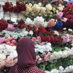 Asma Azizi - @asma.azizi277 - Instagram