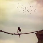 asmaaziz - @asmaaziz158 - Instagram