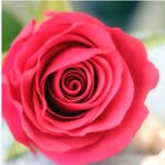 Asma Paracha - @asmawaqar22 - Instagram