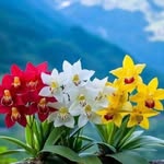 Wahab Paracha - @asma_paracha_ - Instagram