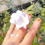 __asma_sheikh__ - @__asma_sheikh__ - Instagram