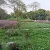 Asma Sheikh - @asma.sheikh359 - TikTok