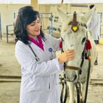 Asma Sheikh - @doctorasma0 - Instagram