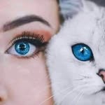 Asma Sheikh - @asma_sheikh_839 - Instagram