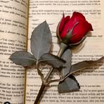 Asma Syed - Facebook