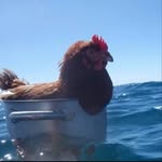Asma Yahya - @yahya.asma1 - Instagram