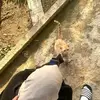 Asma Yahya - @asma.yahya4 - TikTok