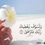Asmaa-Ibrahim - @asmaa_ib2280 - Instagram